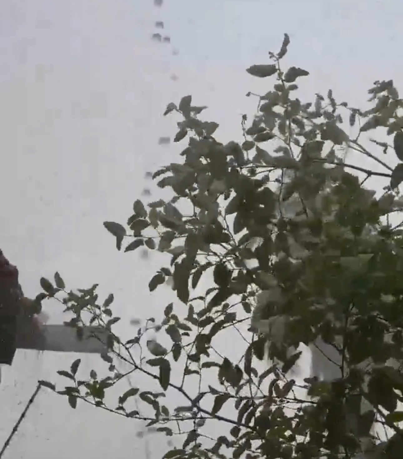 Sextou com chuva: Araguaína recebe temporal e alivia calorão nesta sexta-feira; VÍDEO