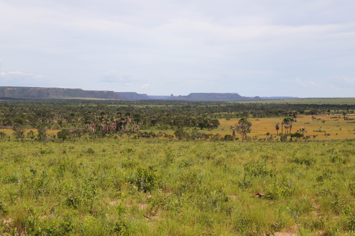Os dados do Boletim foram consolidados pelo Centro de Inteligência Geográfica em Gestão do Meio Ambiente - Foto: Marcel de Paula/Governo do Tocantins Os dados do Boletim foram consolidados pelo Centro de Inteligência Geográfica em Gestão do Meio Ambiente - Foto: Marcel de Paula/Governo do Tocantins