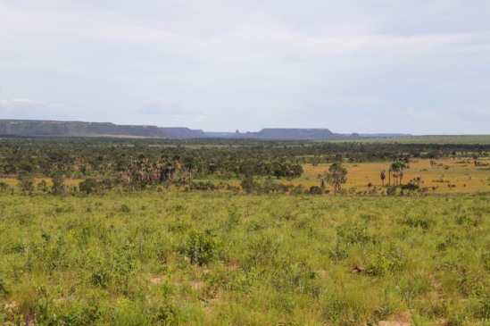 Os dados do Boletim foram consolidados pelo Centro de Inteligência Geográfica em Gestão do Meio Ambiente - Foto: Marcel de Paula/Governo do Tocantins