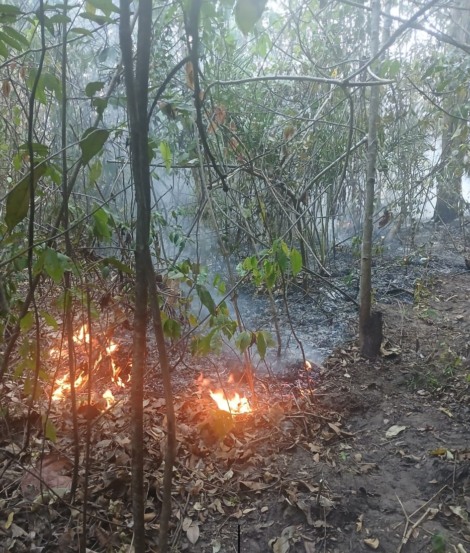 Cerrado em chamas: Quilombo Grotão luta contra incêndio há 5 dias; COEQTO e CPT cobram ação das autoridades