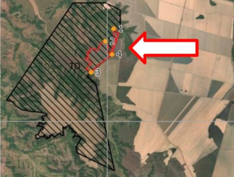 EXCLUSIVO! Decisão liminar sobre posse de terras em Campos Lindos é contestada no TJ; Família Kalugin tem área há mais de 35 anos