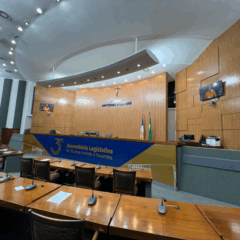 Assembleia Legislativa do Tocantins (Aleto)
