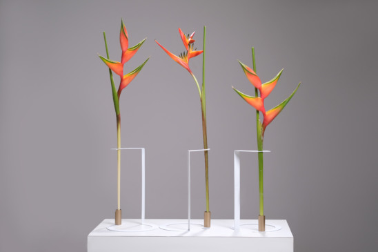 Design inspirado nas rotatórias de Palmas é finalista em prêmio nacional