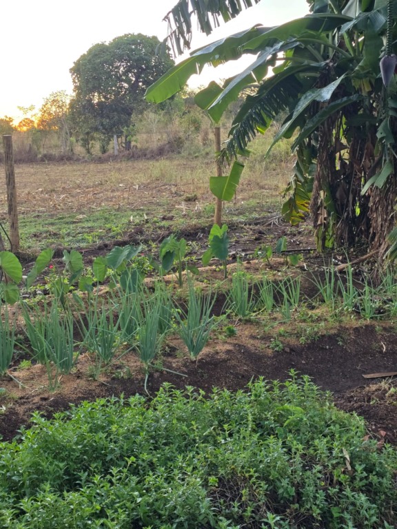 Seminário de apresentação do PL de Agroecologia e Produção Orgânica do Tocantins acontecerá dia 29