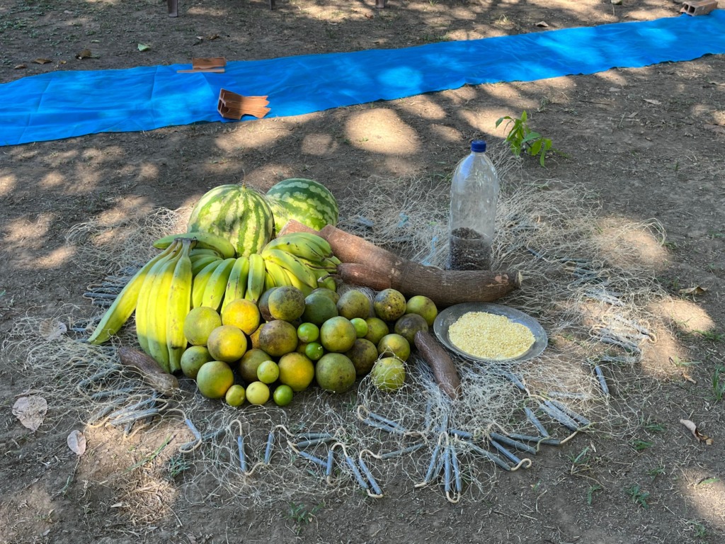 Seminário discute PL de Agroecologia e Produção Orgânica do Tocantins nesta quarta-feira