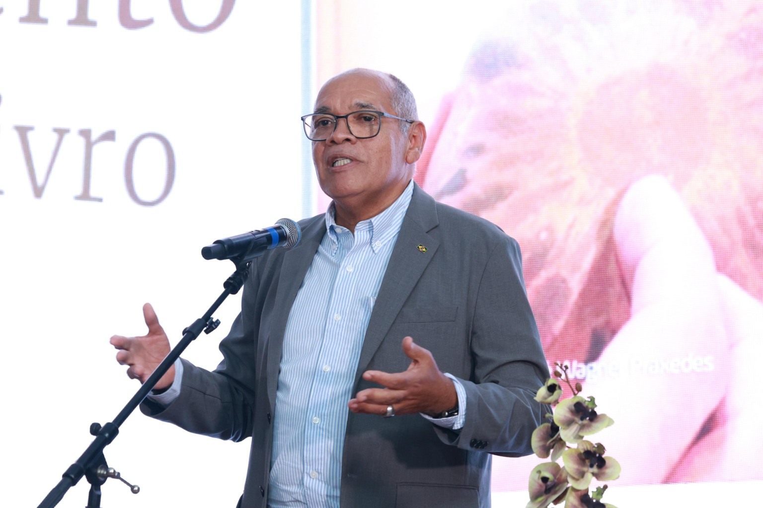 Conselheiro do TCE Revela Segredos de Palmas em Livro e Exposição Imperdíveis!