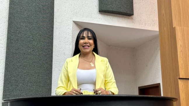 Deputada estadual Janad Valcari