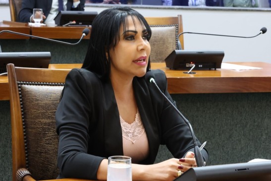 Deputada estadual Janad Valcari