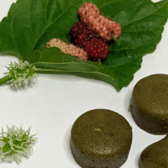 Tocantinense desenvolve goma de mascar fitoterápica para o alívio de sintomas da menopausa