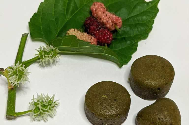 Tocantinense desenvolve goma de mascar fitoterápica para o alívio de sintomas da menopausa