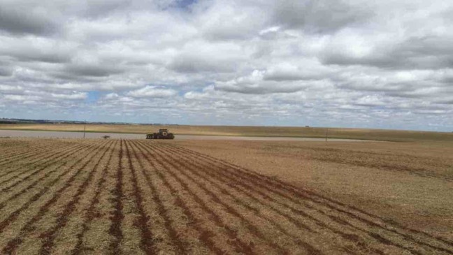 Chuvas irregulares atrasam plantio da soja no Tocantins