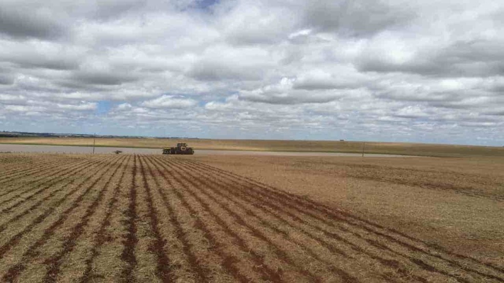 Chuvas irregulares atrasam plantio da soja no Tocantins