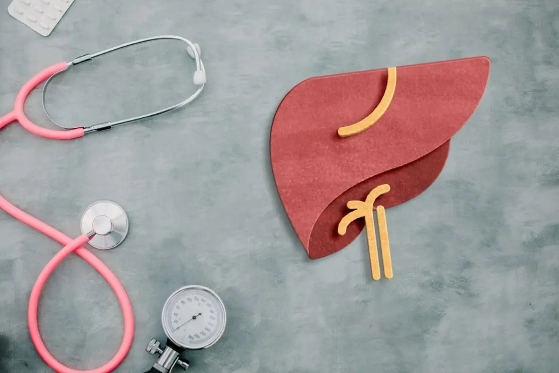 Fígado - Foto: Getty Images Fígado - Foto: Getty Images