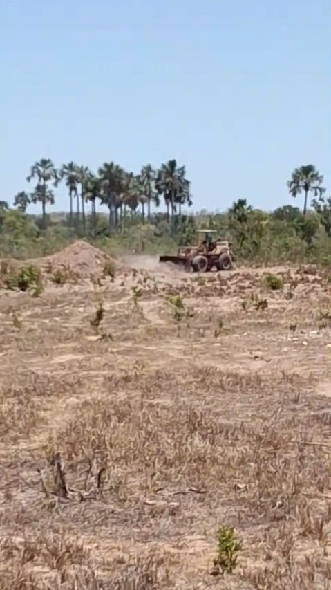 Comunidade quilombola vive sob ameaça e denuncia descumprimento de sentença e crimes ambientais; Fazenda nega