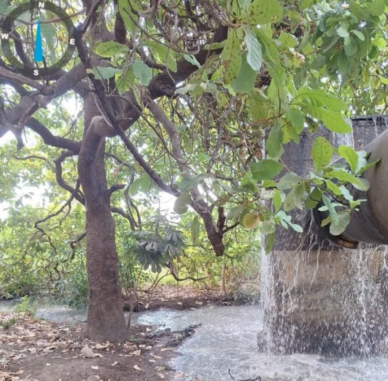 Fiscalização identificou escoamento de esgoto em direção ao lago de Palmas — Foto: ARP/ Prefeitura de Palmas