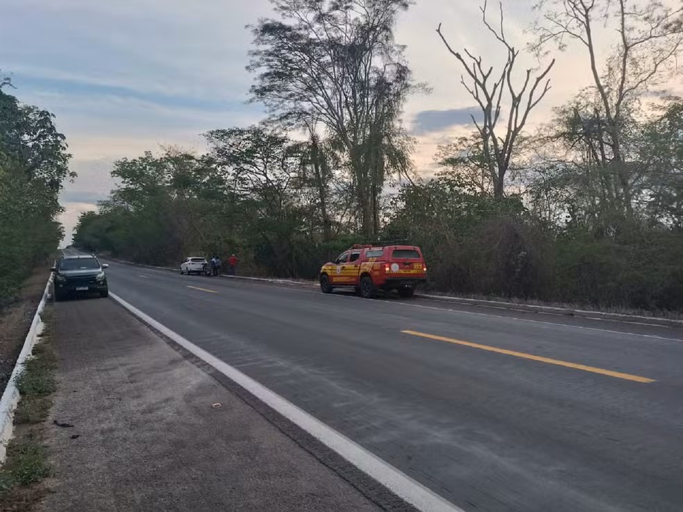 Corpo de Charles Rodrigues Costa, de 47 anos, foi encontrado às margens da BR-153 — Foto: Divulgação/Bombeiros