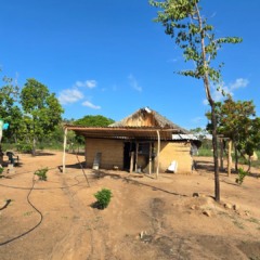 Quilombo tocantinense tem urgências em infraestrutura, acesso e regularização do território