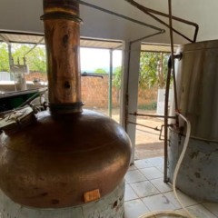 Estruturas foram encontradas em Combinado, região sudeste do estado — Foto: Mapa/Divulgação