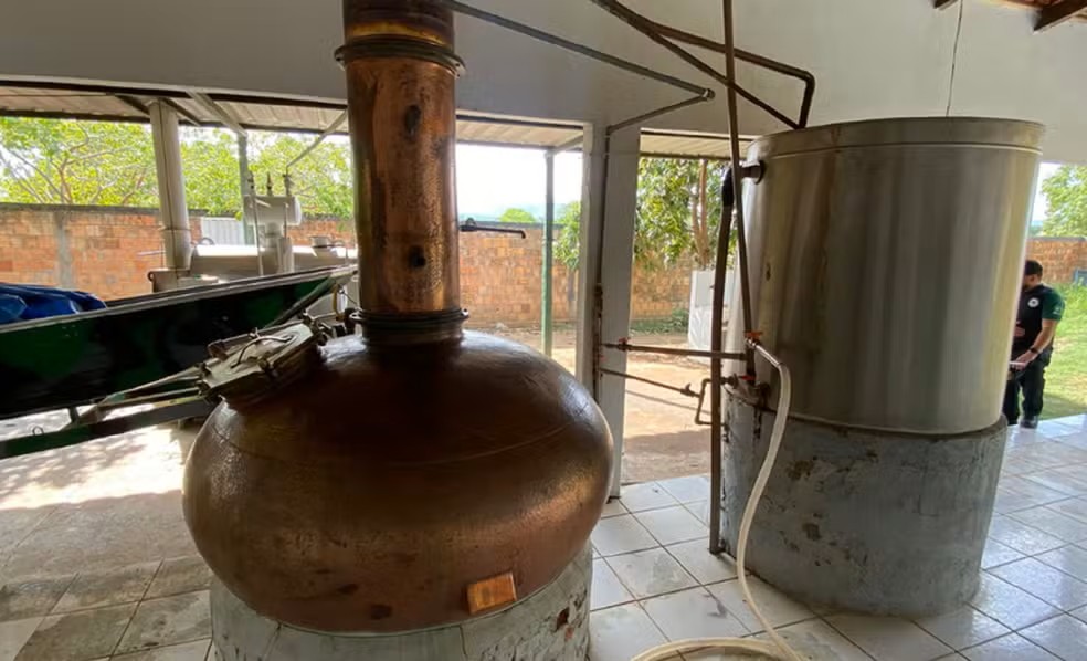 Estruturas foram encontradas em Combinado, região sudeste do estado — Foto: Mapa/Divulgação