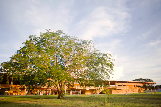 Crédito: Ronaldo Aguiar  