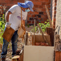 Em Palmas, quase 80% dos focos do Aedes aegypti estão dentro das residências