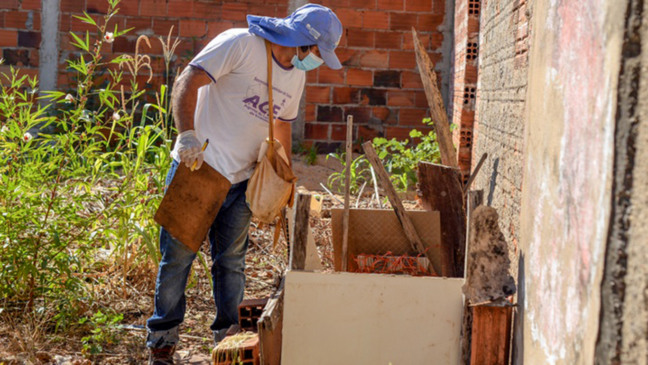 Em Palmas, quase 80% dos focos do Aedes aegypti estão dentro das residências
