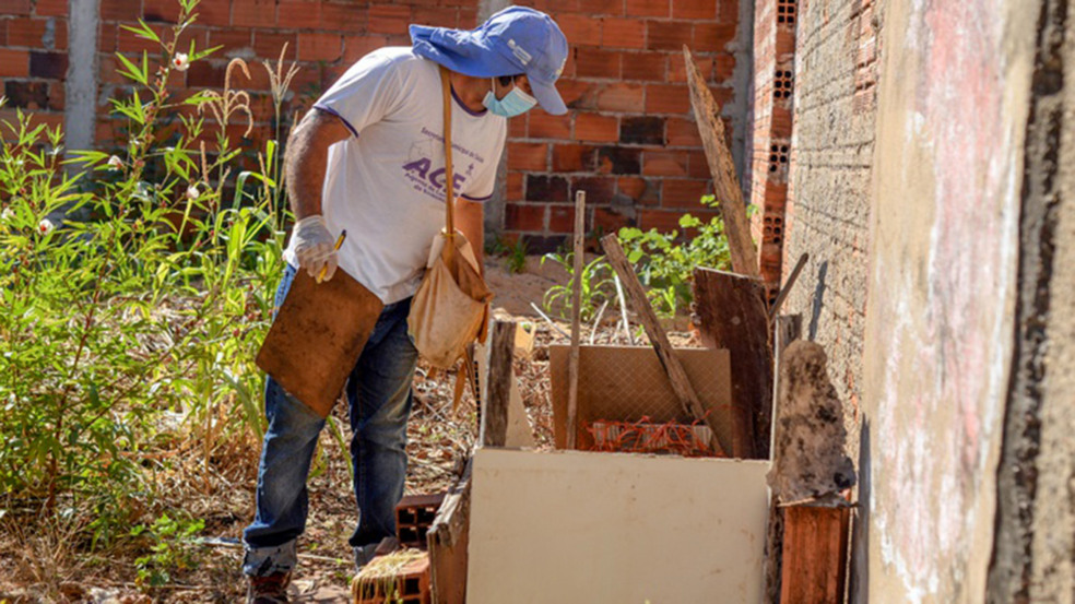 Em Palmas, quase 80% dos focos do Aedes aegypti estão dentro das residências