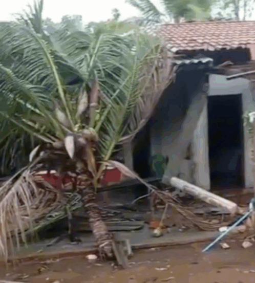 Tempestade assustadora causa danos a residências no norte do TO; VÍDEO