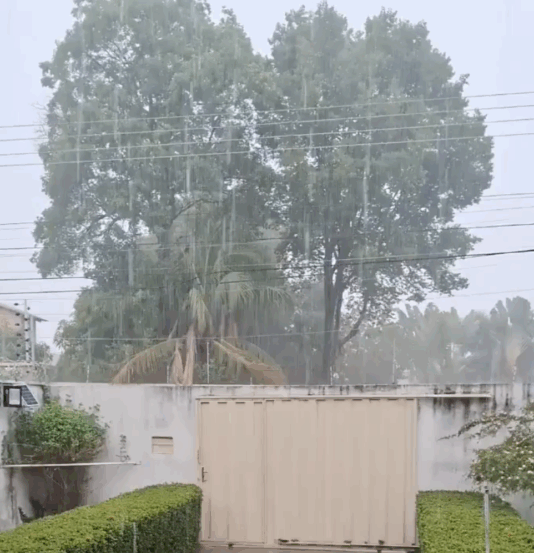 Após sucessivas previsões frustradas, chuva chega e moradores de Palmas comemoram primeiro temporal da estação