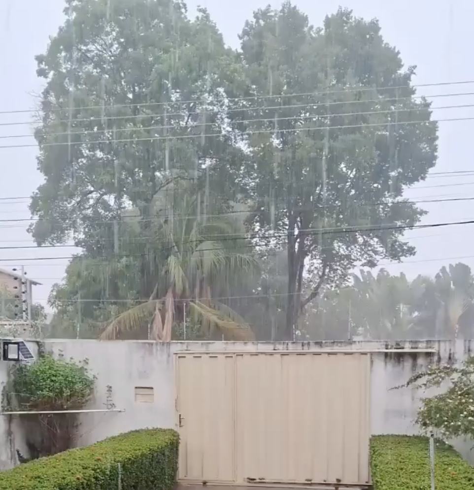 Após sucessivas previsões frustradas, chuva chega e moradores de Palmas comemoram primeiro temporal da estação