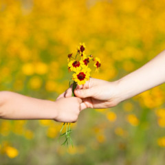 Dia da gentileza: A ciência explica 6 motivos para ser gentil todos os dias