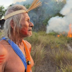 Série Documentário :Doutores da Floresta, Foto: @MarcoJacobBrasil