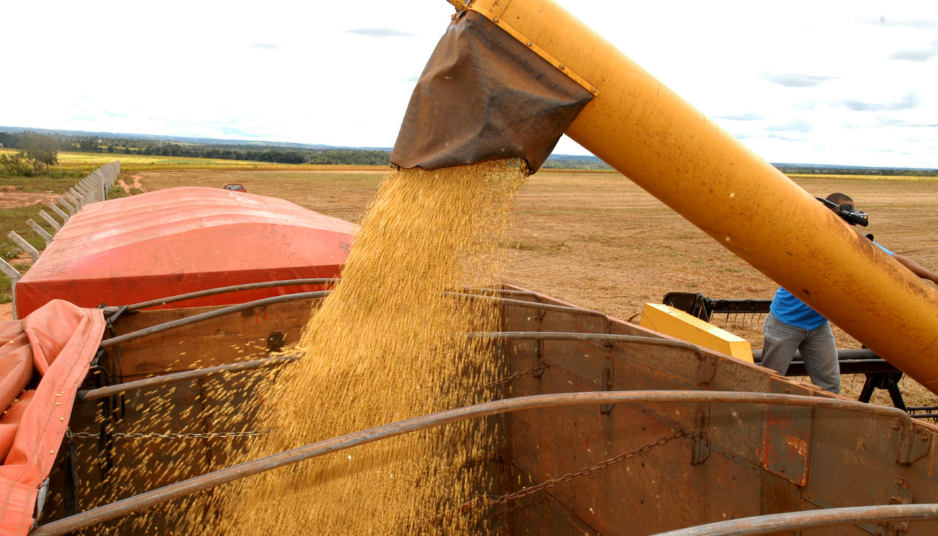 Soja impulsionou o bom resultado do estado no Produto Interno Brut - Foto:Adilvan Nogueira/Governo do Tocantins