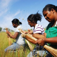 Tocantins realiza 1º Encontro de Construção da Igualdade Racial