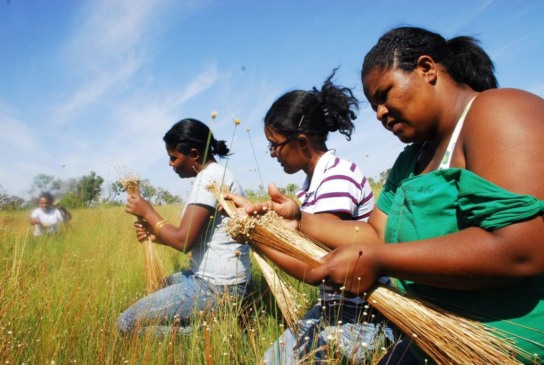 Tocantins realiza 1º Encontro de Construção da Igualdade Racial
