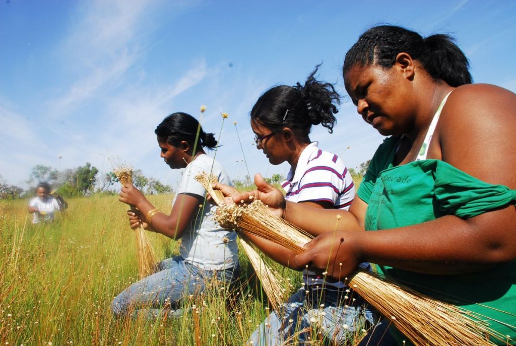 Tocantins realiza 1º Encontro de Construção da Igualdade Racial