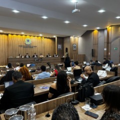 Duas pessoas são alvos de medidas criminais acusadas de exercício ilegal da advocacia no TO