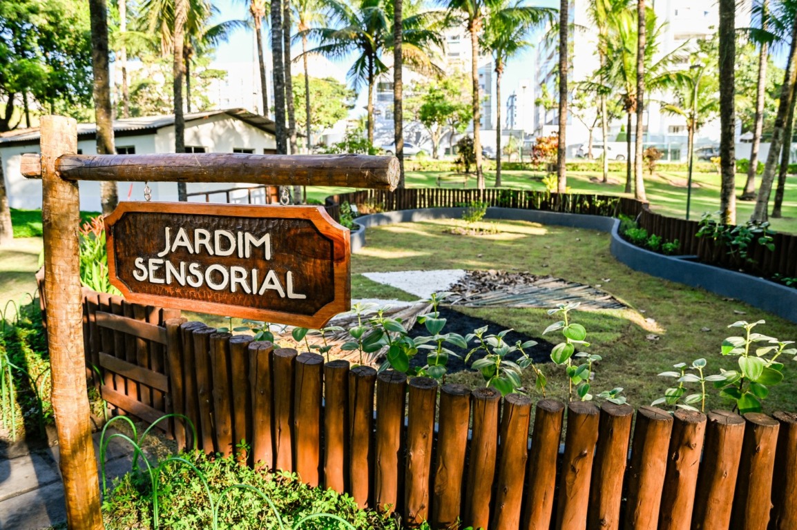  
Jardins sensoriais utilizam plantas de diferentes texturas e aromas, caminhos táteis, brinquedos com sons e água, aprimorando a coordenação motora, a regulação emocional e a interação social das crianças - Foto: Divulgação