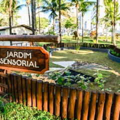  
Jardins sensoriais utilizam plantas de diferentes texturas e aromas, caminhos táteis, brinquedos com sons e água, aprimorando a coordenação motora, a regulação emocional e a interação social das crianças - Foto: Divulgação