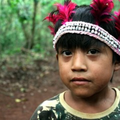 O texto também contextualiza o histórico processo de expropriação de terras indígenas no Brasil - Crédito: Fneei.org