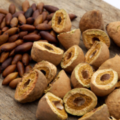 Festival do Baru celebra ancestralidade e fortalece identidade da comunidade quilombola Barra de Aroeira