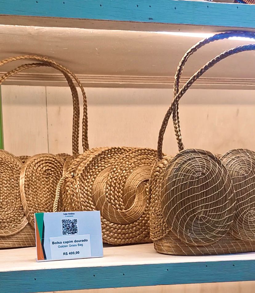 Tocantins na COP 30: Com Capim Dourado em evidência, pequenos negócios ganham visibilidade na maior conferência climática do mundo