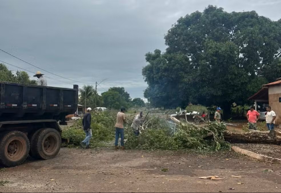 Ávores caem durante chuva forte em Palmeirante — Foto: Secretaria de Meio Ambiente de Palmeirante/Divulgação