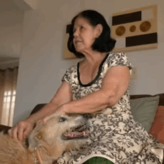 Cachorrinha vira heroína e ajuda a resgatar idosa ferida em Palmas