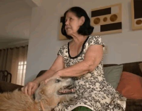 Cachorrinha vira heroína e ajuda a resgatar idosa ferida em Palmas