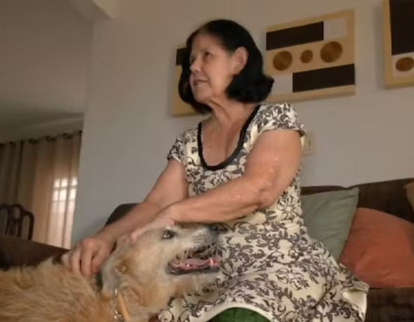 Cachorrinha vira heroína e ajuda a resgatar idosa ferida em Palmas Cachorrinha vira heroína e ajuda a resgatar idosa ferida em Palmas