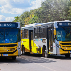 Linha vai atender os cemitérios Jardim da Paz e Jardim das Acácias – Foto: Lia Mara