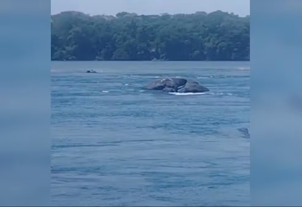 Local onde corpo do menino se afogou — Foto: Reprodução/Bombeiros