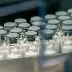 Foto: Butantan/Divulgação