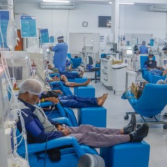 Fundação Pró-Rim recebe doações de panetones até o dia 10